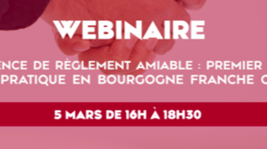 L&rsquo;audience de règlement amiable : premier bilan – Enregistrement disponible